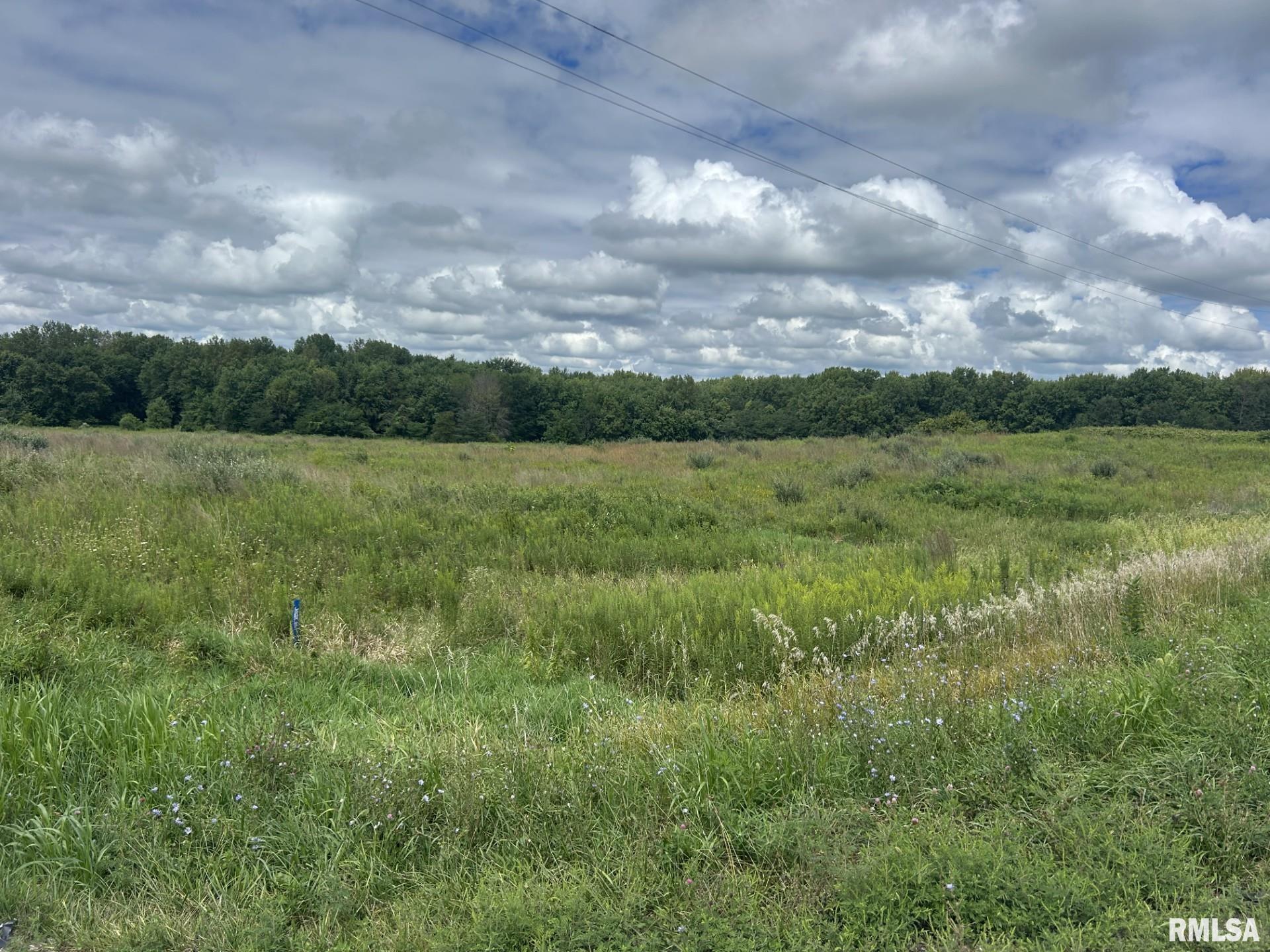 2600 North 800 East Road Edinburg, IL 62531 - Photo 4 of 4