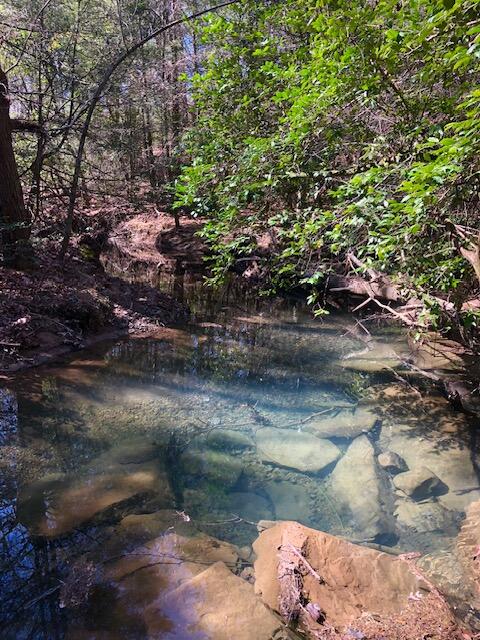 0 Sullivan Mill Road Graysville, TN 37338 - Photo 1 of 26 IMG_8854