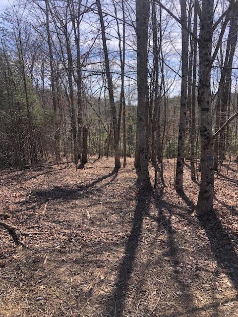 0 Sullivan Mill Road Graysville, TN 37338 - Photo 11 of 26 IMG_8845