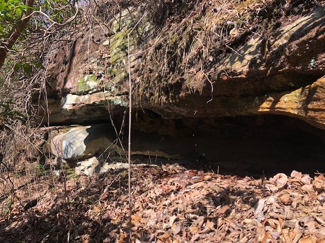 0 Sullivan Mill Road Graysville, TN 37338 - Photo 16 of 26 IMG_8830