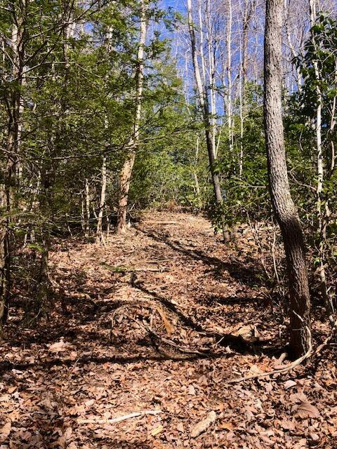 0 Sullivan Mill Road Graysville, TN 37338 - Photo 17 of 26 IMG_8812