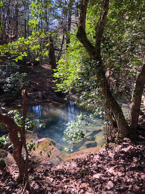 0 Sullivan Mill Road Graysville, TN 37338 - Photo 19 of 26 IMG_8848