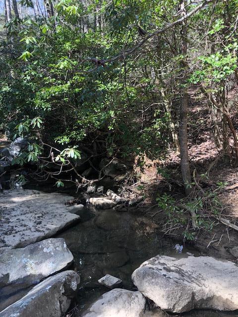 0 Sullivan Mill Road Graysville, TN 37338 - Photo 20 of 26 IMG_8823