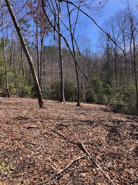 0 Sullivan Mill Road Graysville, TN 37338 - Photo 2 of 26 IMG_8835
