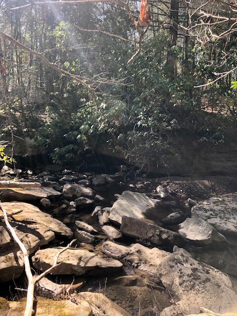 0 Sullivan Mill Road Graysville, TN 37338 - Photo 21 of 26 IMG_8822