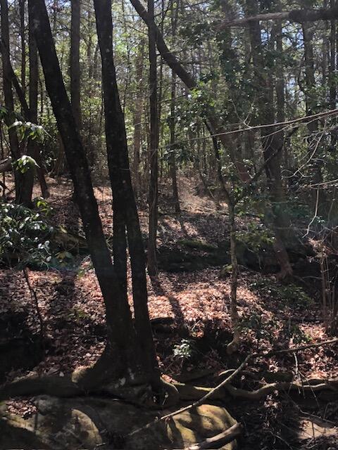0 Sullivan Mill Road Graysville, TN 37338 - Photo 22 of 26 IMG_8857