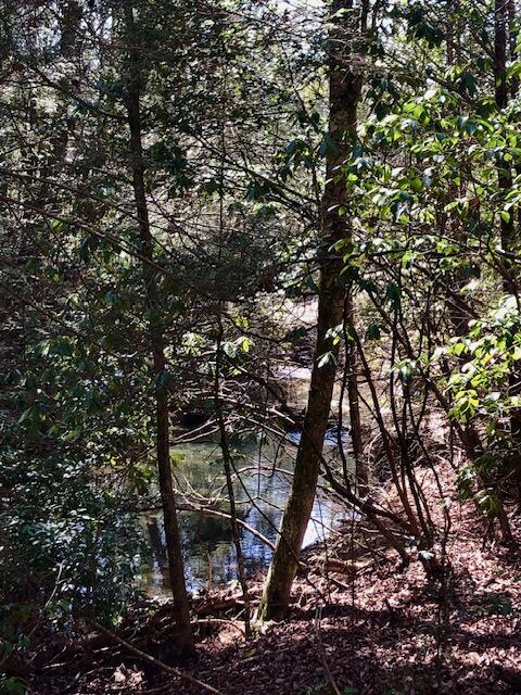 0 Sullivan Mill Road Graysville, TN 37338 - Photo 23 of 26 IMG_8860