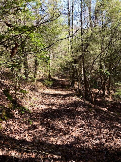 0 Sullivan Mill Road Graysville, TN 37338 - Photo 24 of 26 IMG_8807