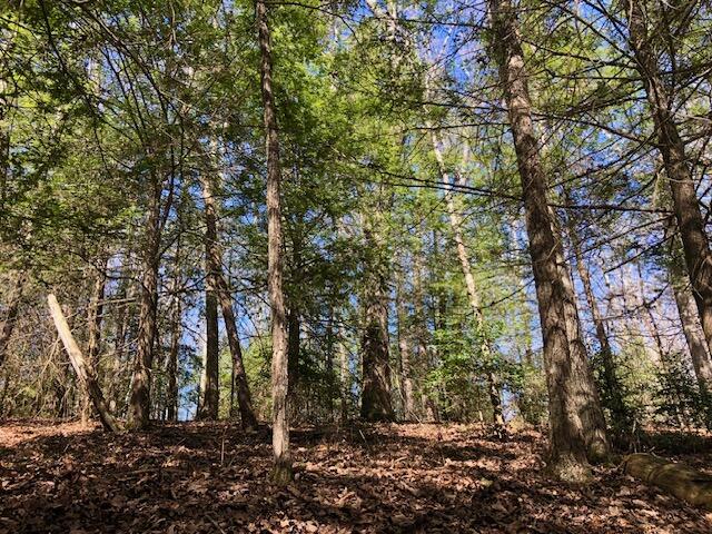 0 Sullivan Mill Road Graysville, TN 37338 - Photo 5 of 26 IMG_8863