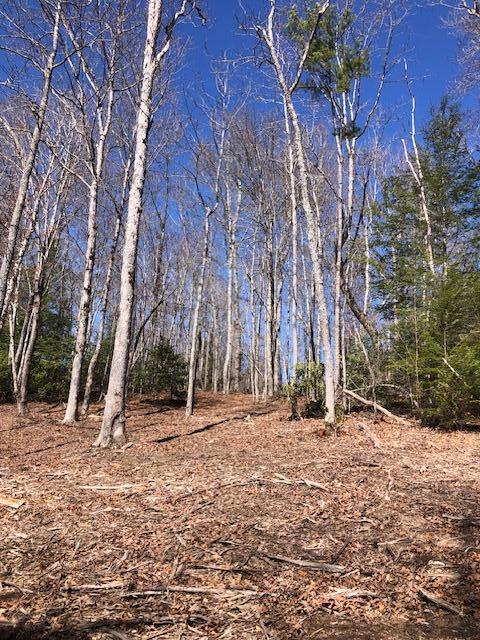 0 Sullivan Mill Road Graysville, TN 37338 - Photo 9 of 26 IMG_8841