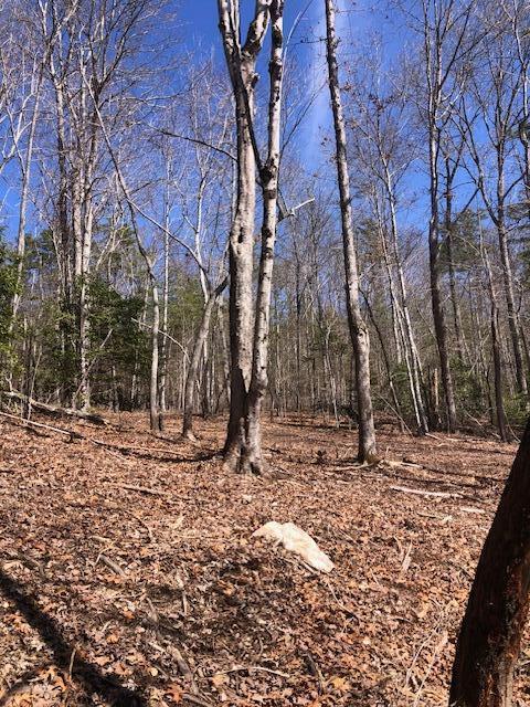 0 Sullivan Mill Road Graysville, TN 37338 - Photo 10 of 26 IMG_8837