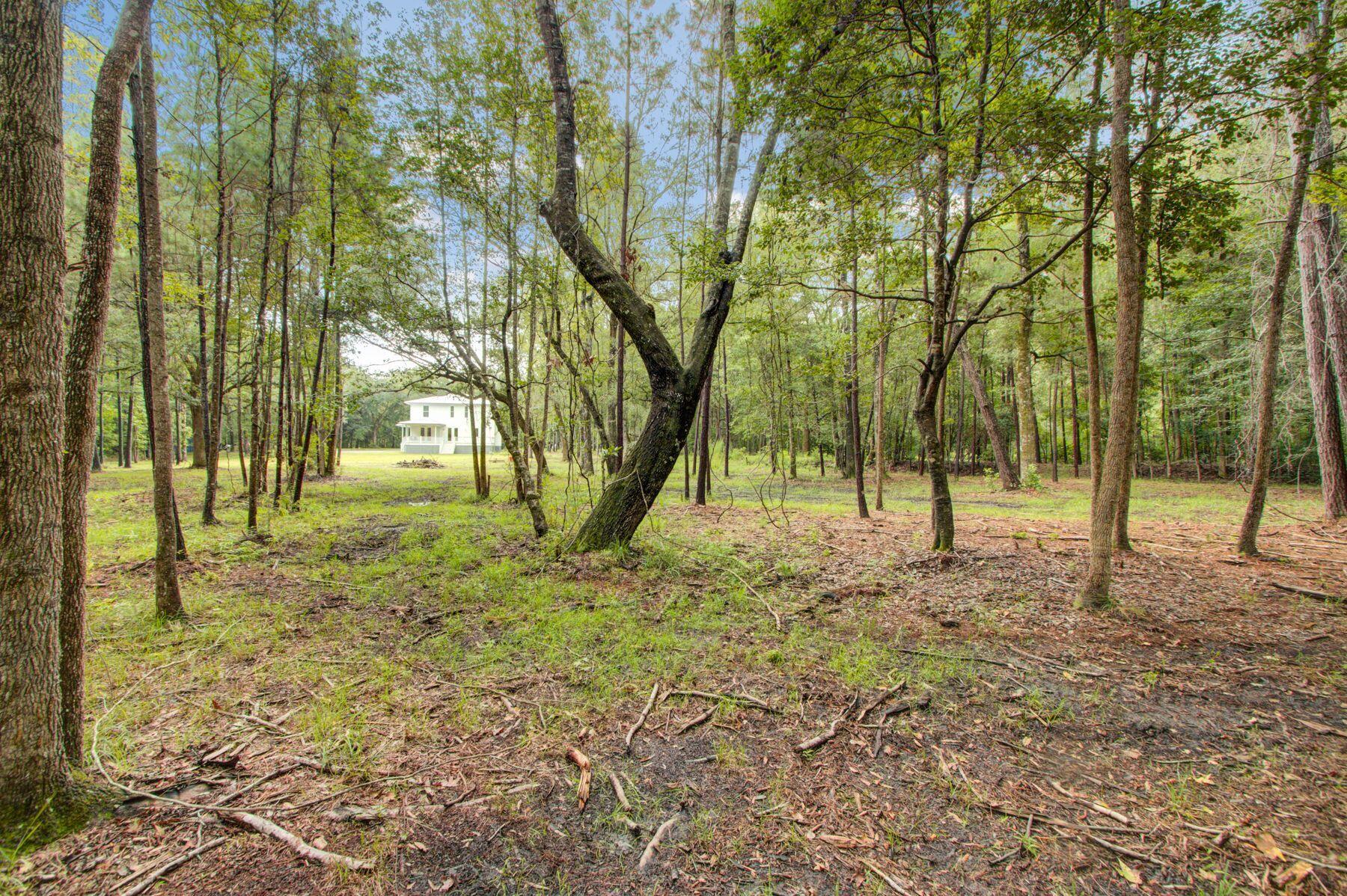 5943 Kelsey's Mill Road Ravenel, SC 29470 - Photo 46 of 50 Back of property