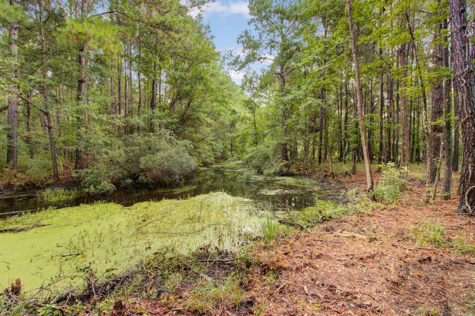 5943 Kelsey's Mill Road Ravenel, SC 29470 - Photo 48 of 50 Pond at back of property