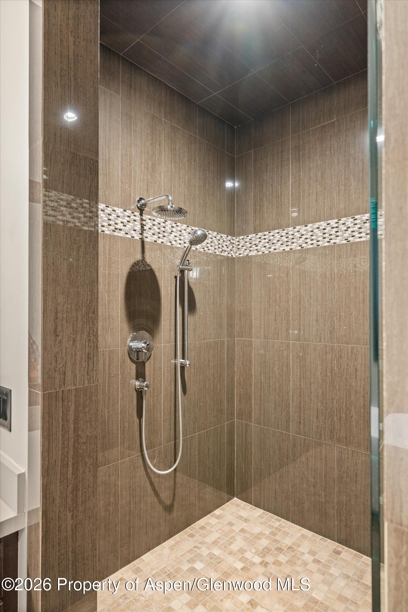 285 Saddleback Road Carbondale, CO 81623 - Photo 28 of 55 Primary shower