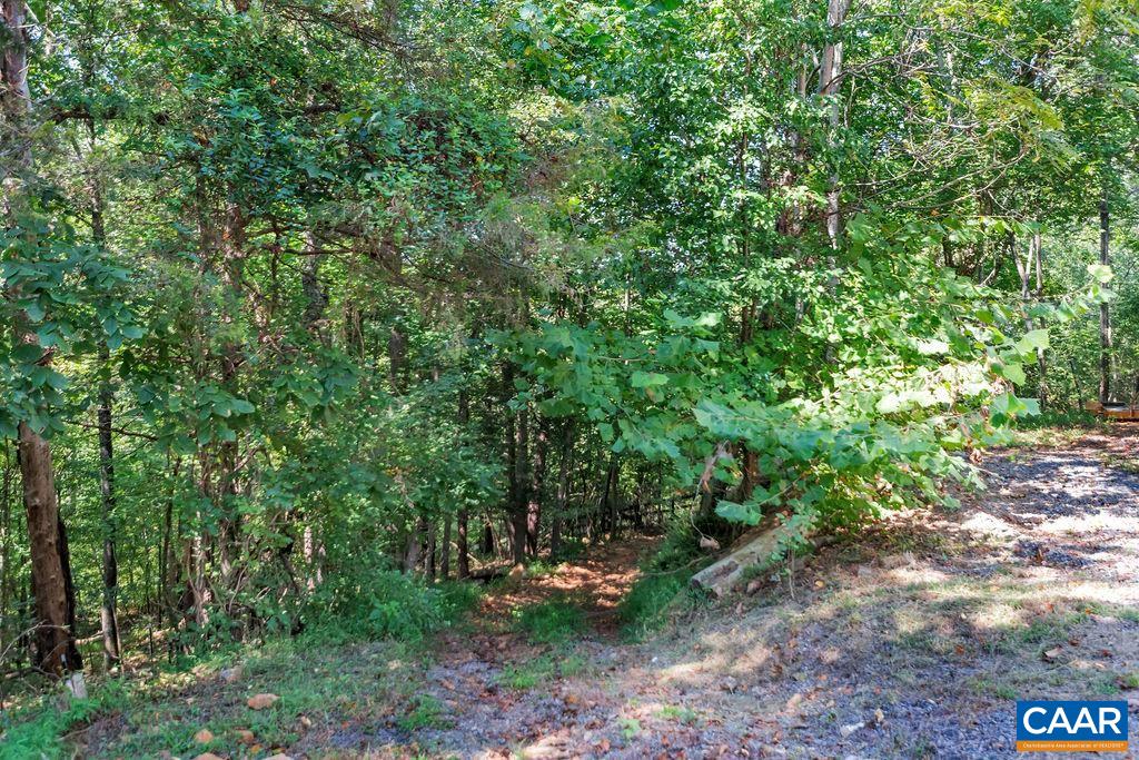 5668 Advance Mills Road Ruckersville, VA 22968 - Photo 54 of 56 a view of a garden with plants and trees