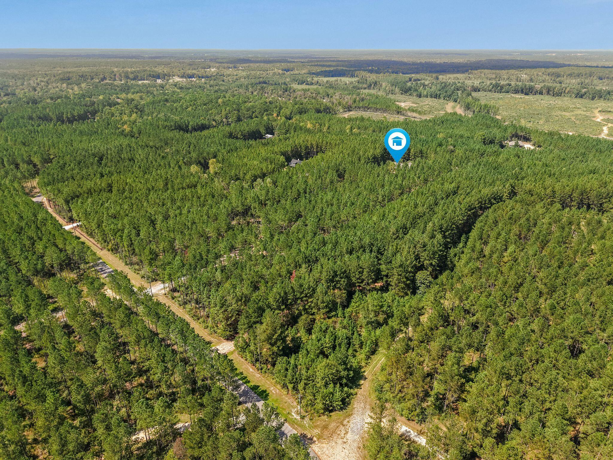 176 Big Hill Road Sumrall, MS 39482 - Photo 63 of 64 Gallery Image 63