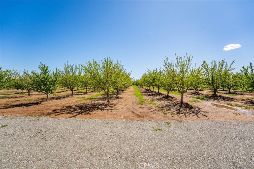 24565 Foster Road Corning, CA 96021 - Photo 35 of 47