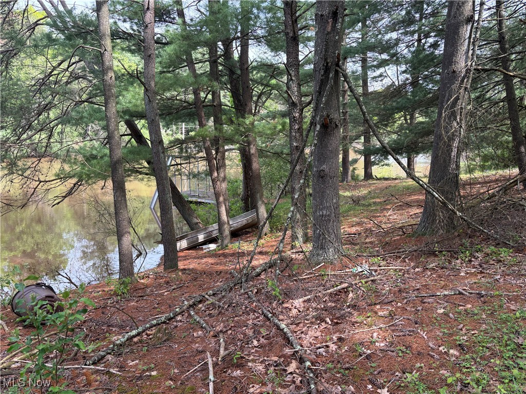 212 Rost Road Walker, WV 26180 - Photo 11 of 29 View of undeveloped land featuring a nearby body of water