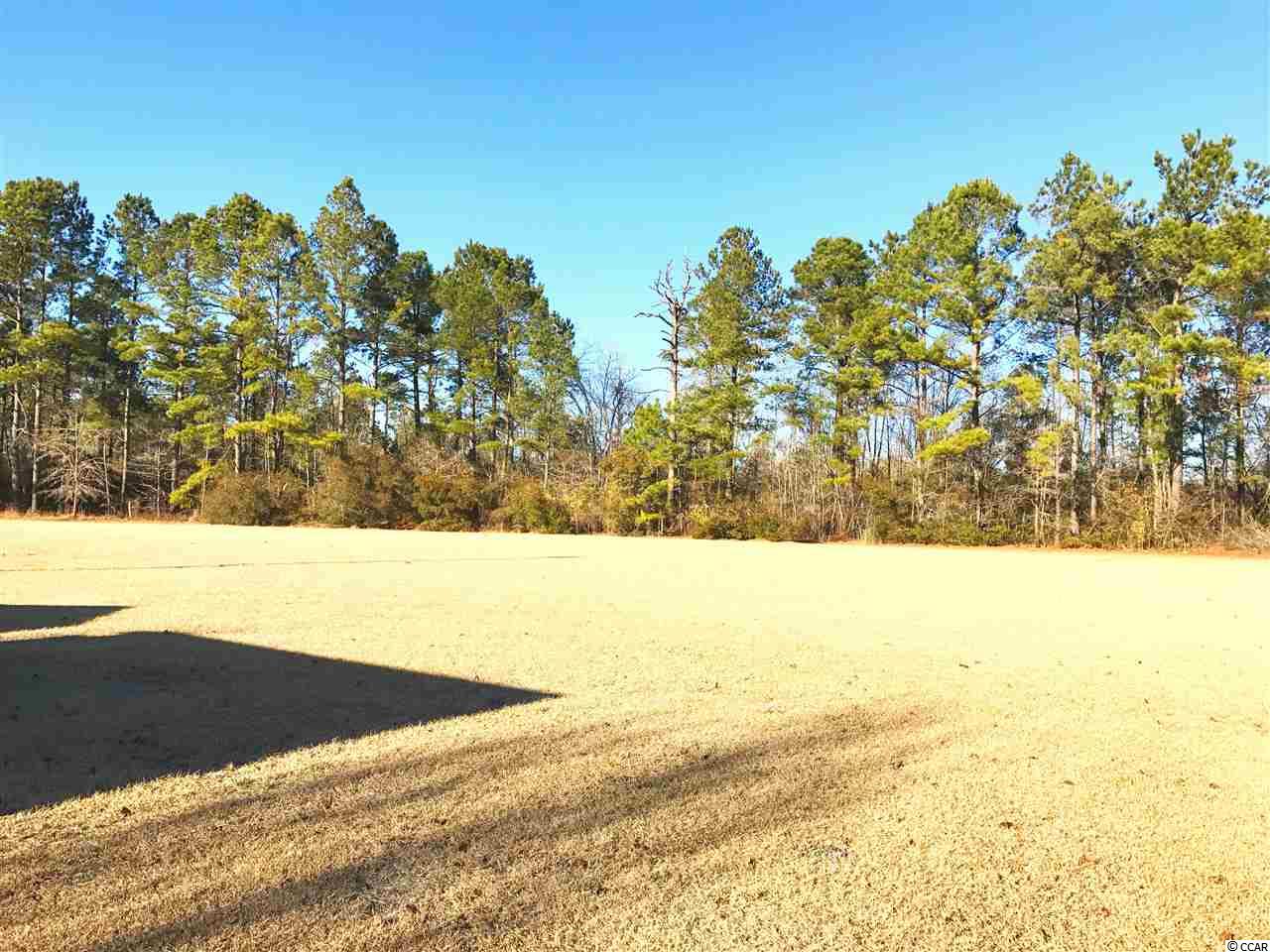3450 Church Road Green Sea, SC 29545 - Photo 23 of 25 Gallery Image 23