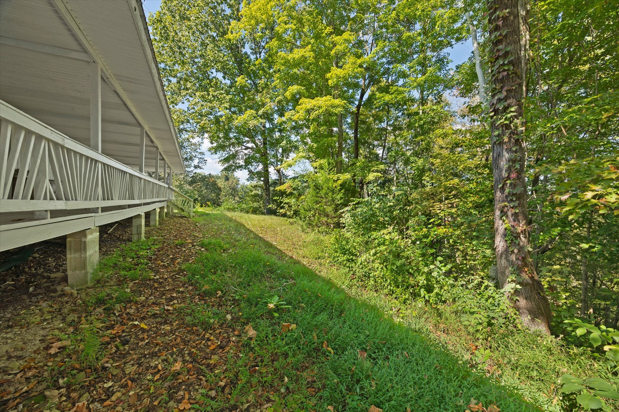 428 James White Road Celina, TN 38551 - Photo 20 of 31