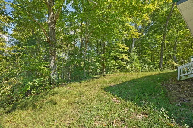 a view of a yard with a tree