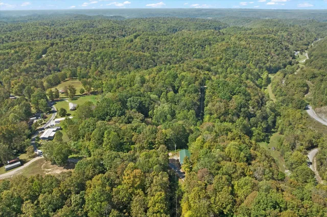 a view of a big yard with lots of bushes