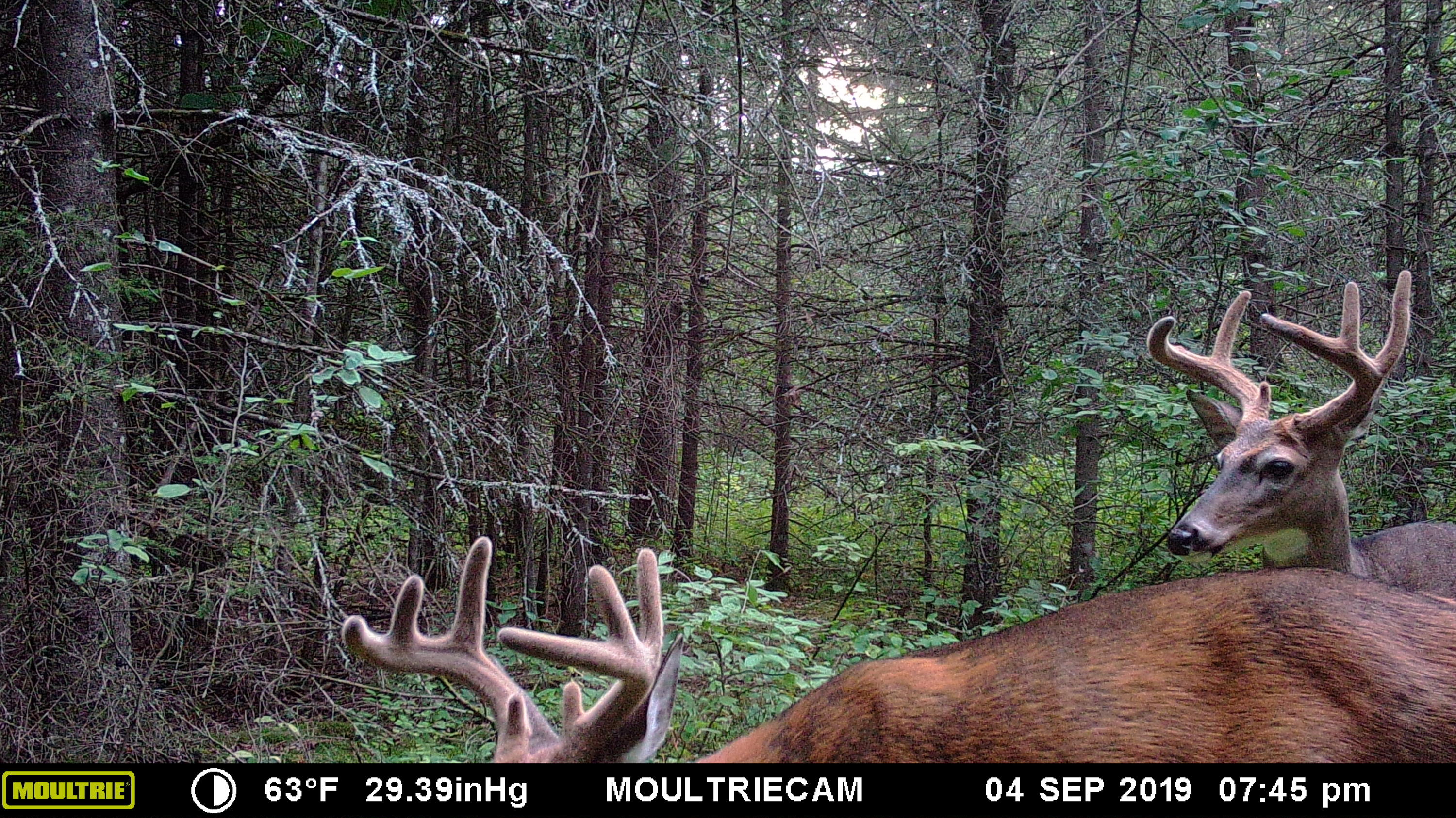 North Point Road Alpena, MI 49707 - Photo 25 of 25 Gallery Image 25
