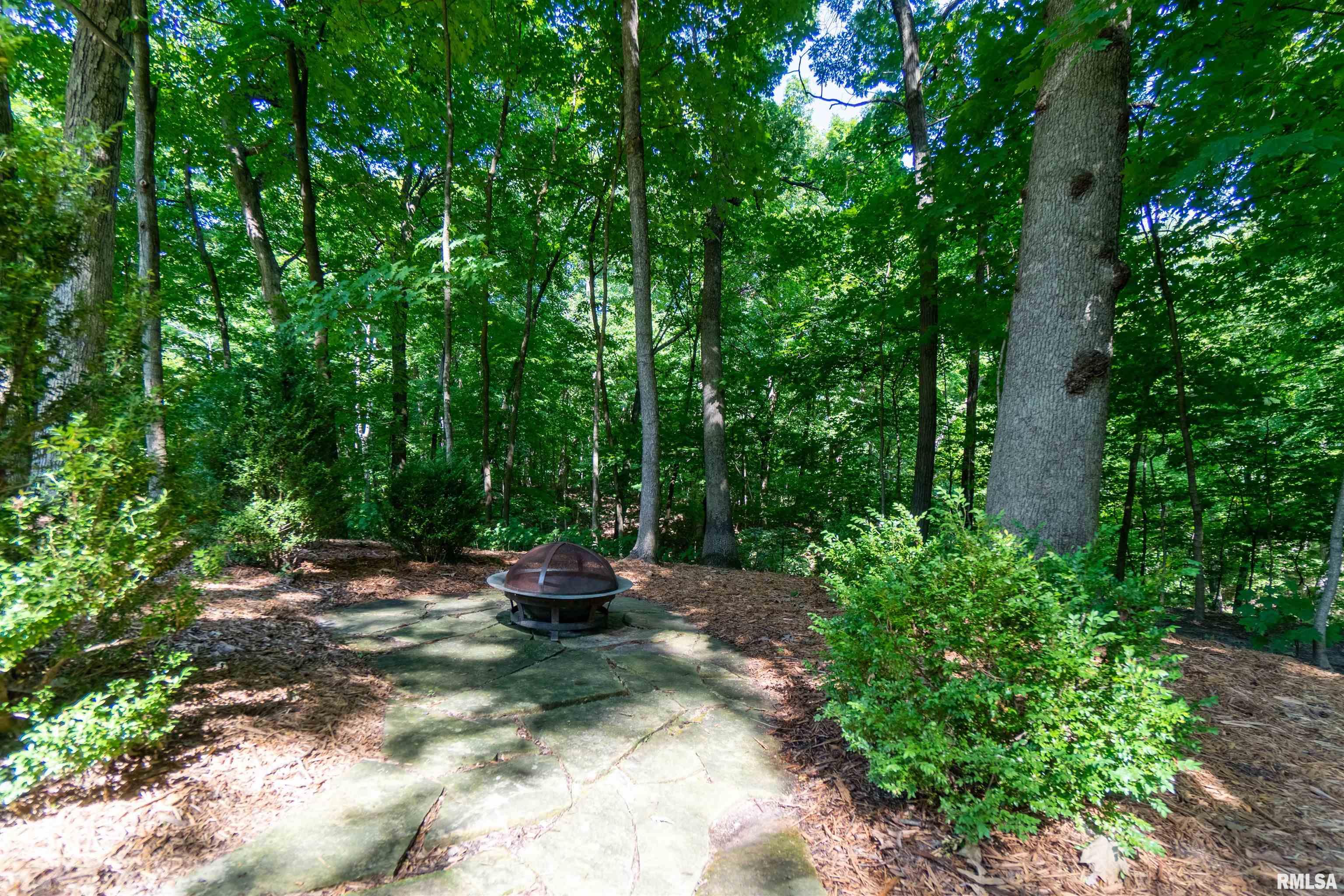 225 West Windflower Way Dunlap, IL 61525 - Photo 38 of 38