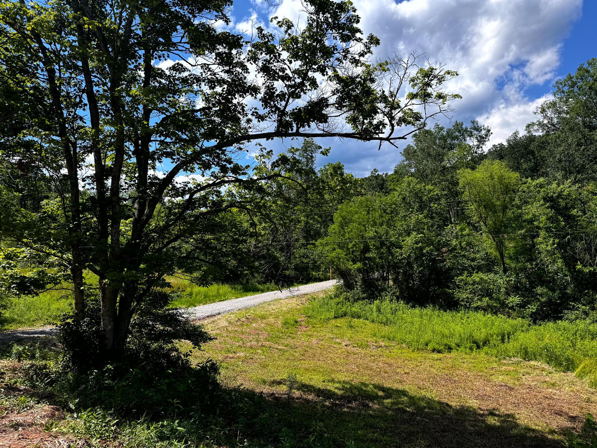 0 Barr Hollow Road, Unit OHIO RIVER RETREAT TRACT 3) Reedsville, OH 45772 - Photo 26 of 29 CT-26