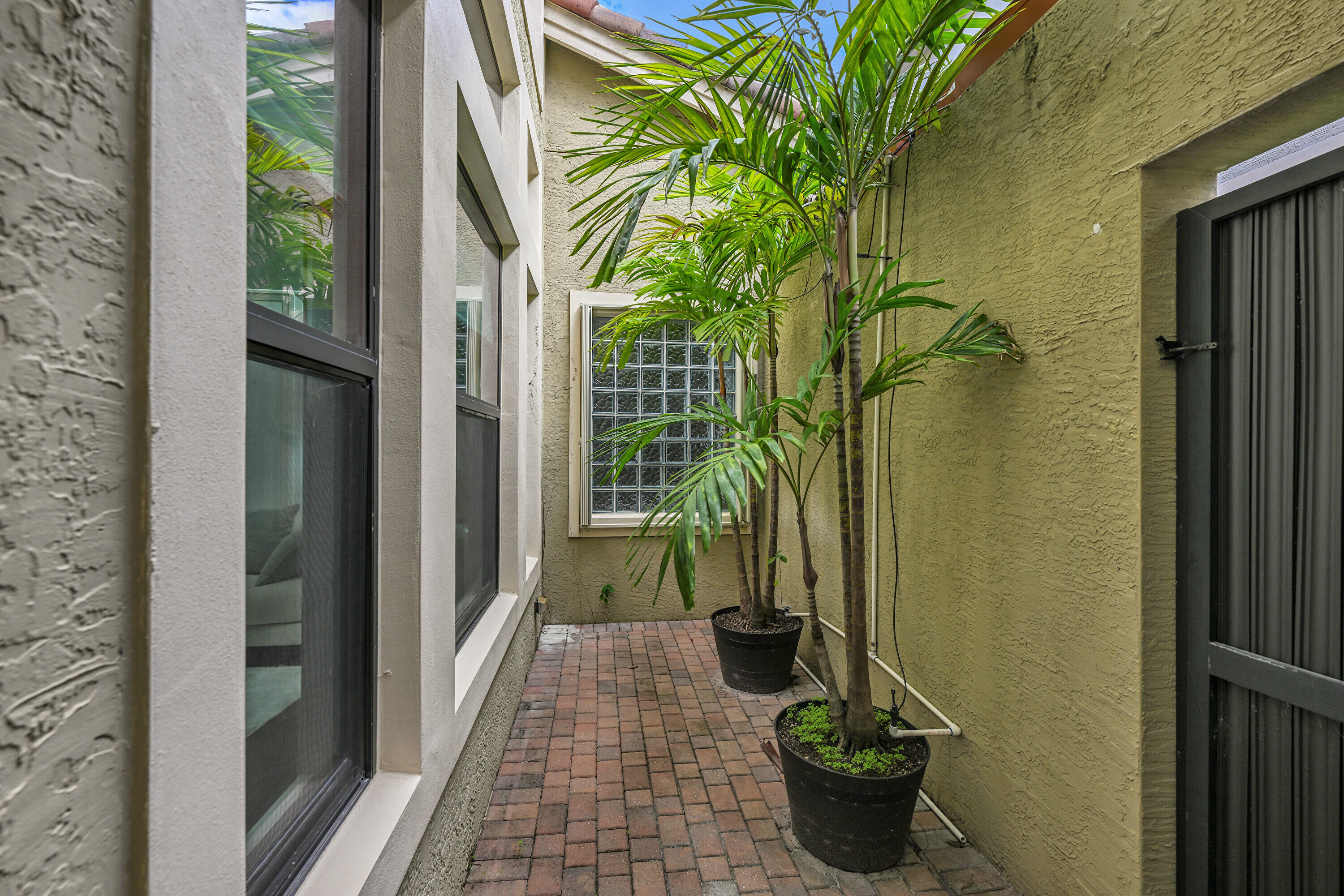 8652 Lewis River Road Delray Beach, FL 33446 - Photo 49 of 85 a view of a potted flower in front of a glass door