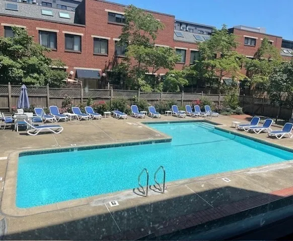 a view of a swimming pool with lawn chairs and plants