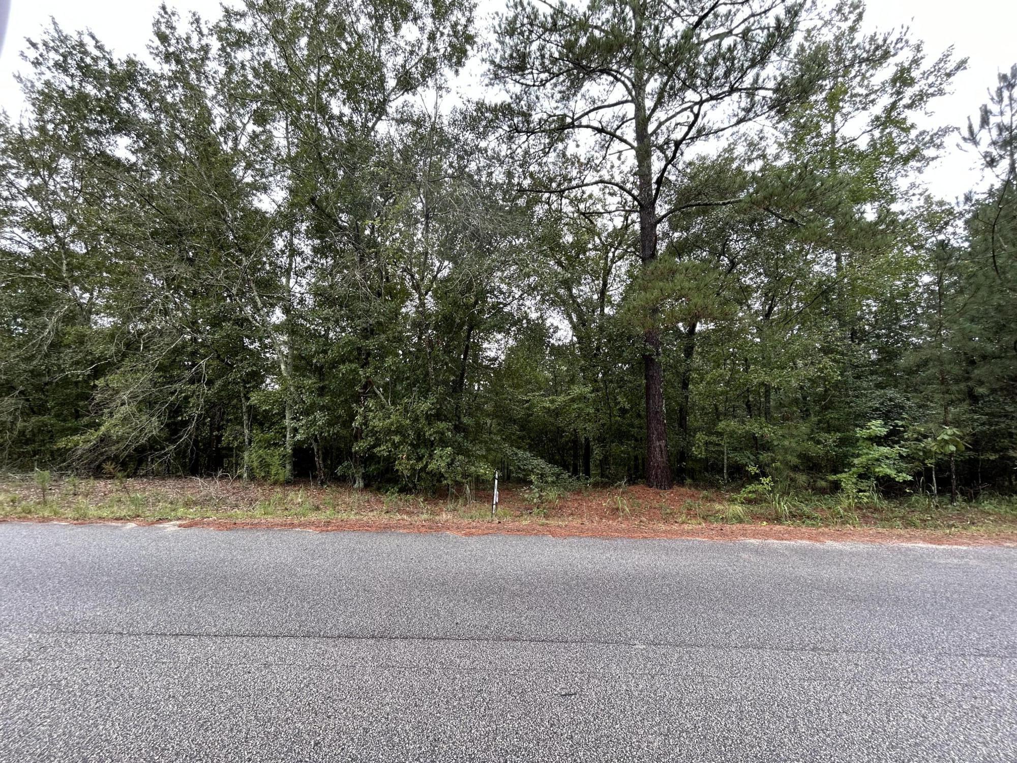 0 Cumbee Trail Road Ridge Spring, SC 29129 - Photo 5 of 5
