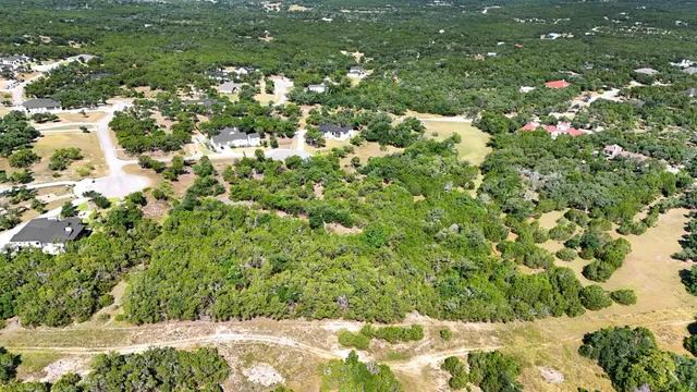 a view of a bunch of trees