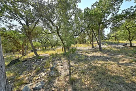 a view of yard with trees