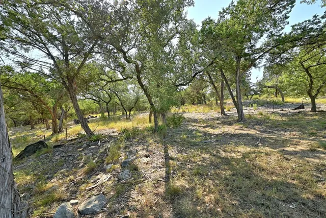 a view of yard with trees