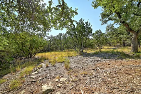 a view of yard with trees
