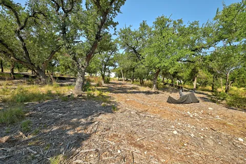 a view of a yard with an trees