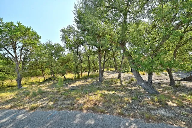 a view of backyard with tree