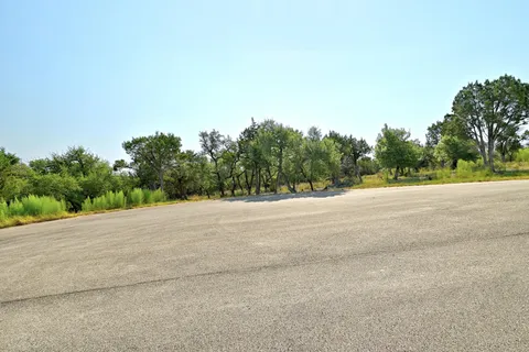 a view of a rural road with plants