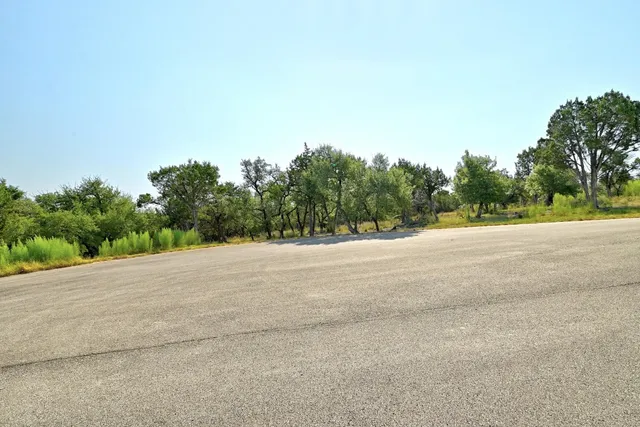 a view of a rural road with plants