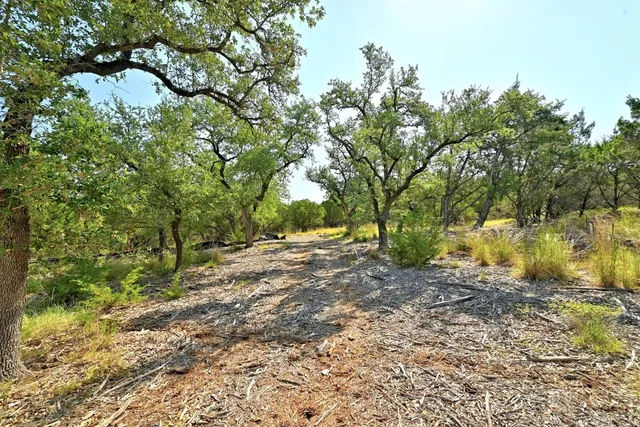a view of backyard with outdoor space