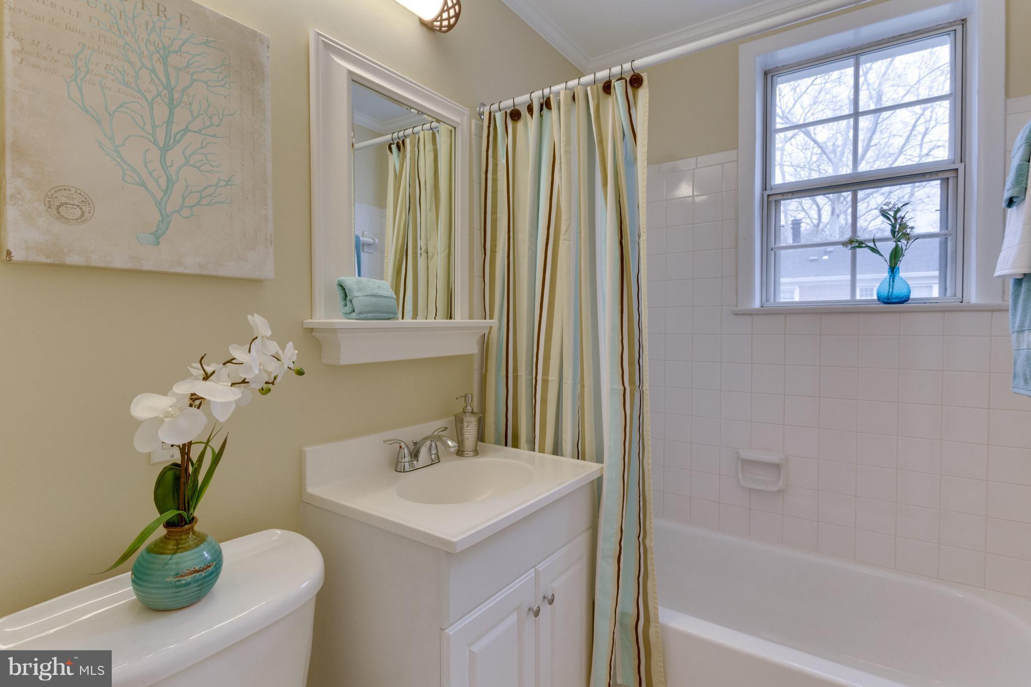 4609 28th Road South, Unit C Arlington, VA 22206 - Photo 18 of 30 Bath