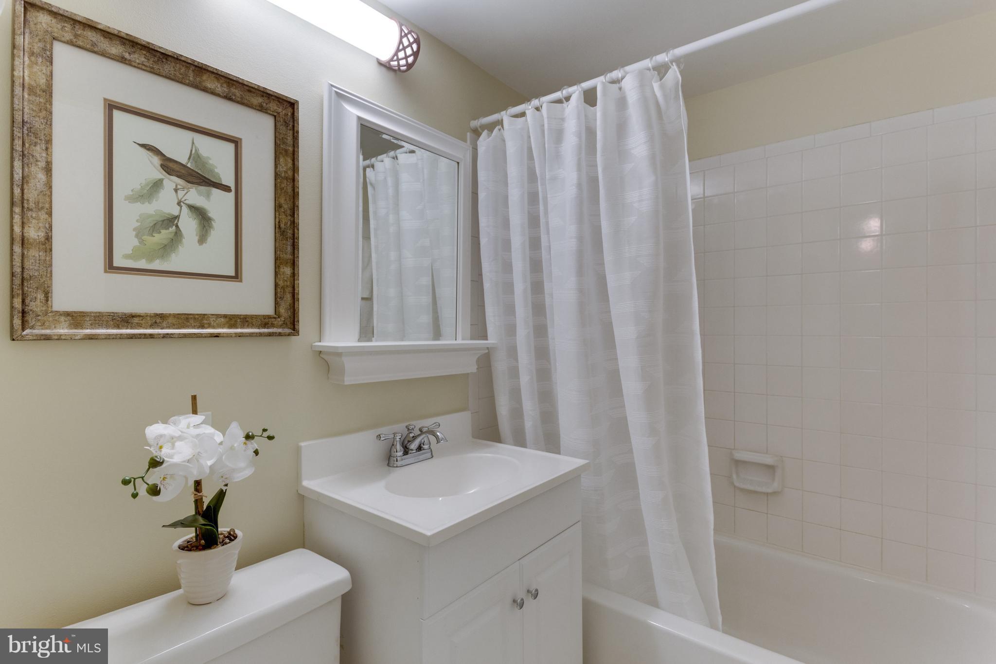 4609 28th Road South, Unit C Arlington, VA 22206 - Photo 25 of 30 Bath