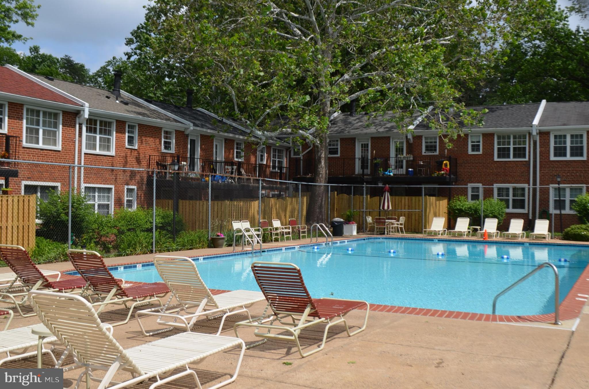 4609 28th Road South, Unit C Arlington, VA 22206 - Photo 30 of 30 Exterior (Rear)