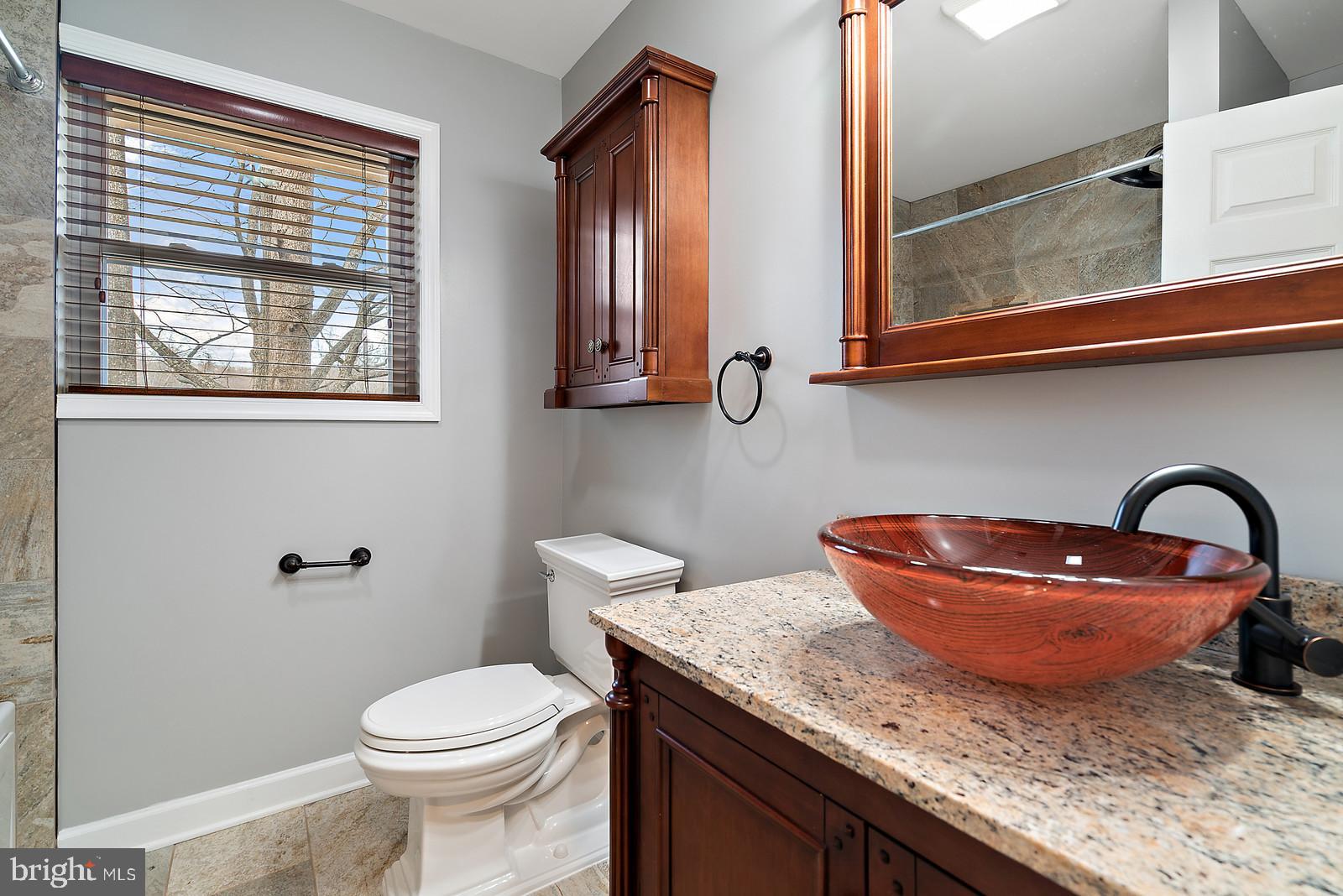 3311 Fiery Run Road Linden, VA 22642 - Photo 14 of 22 Luxury bath