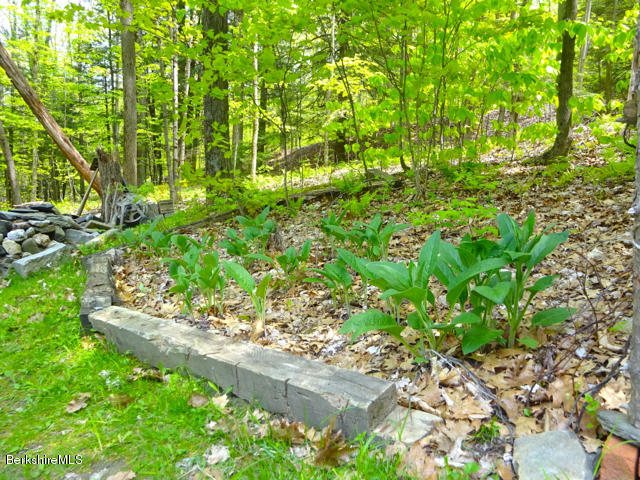 831 E Road Richmond, MA 01254 - Photo 11 of 19 DSC00627