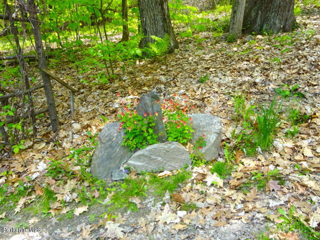 831 E Road Richmond, MA 01254 - Photo 10 of 19 DSC00623