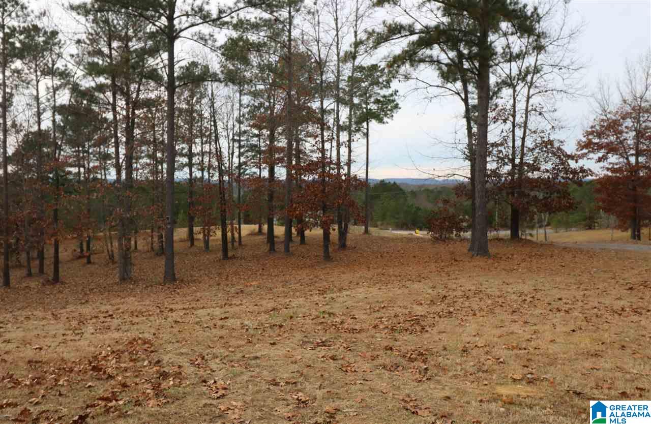 110 Rock Crest Road Odenville, AL 35120 - Photo 26 of 30