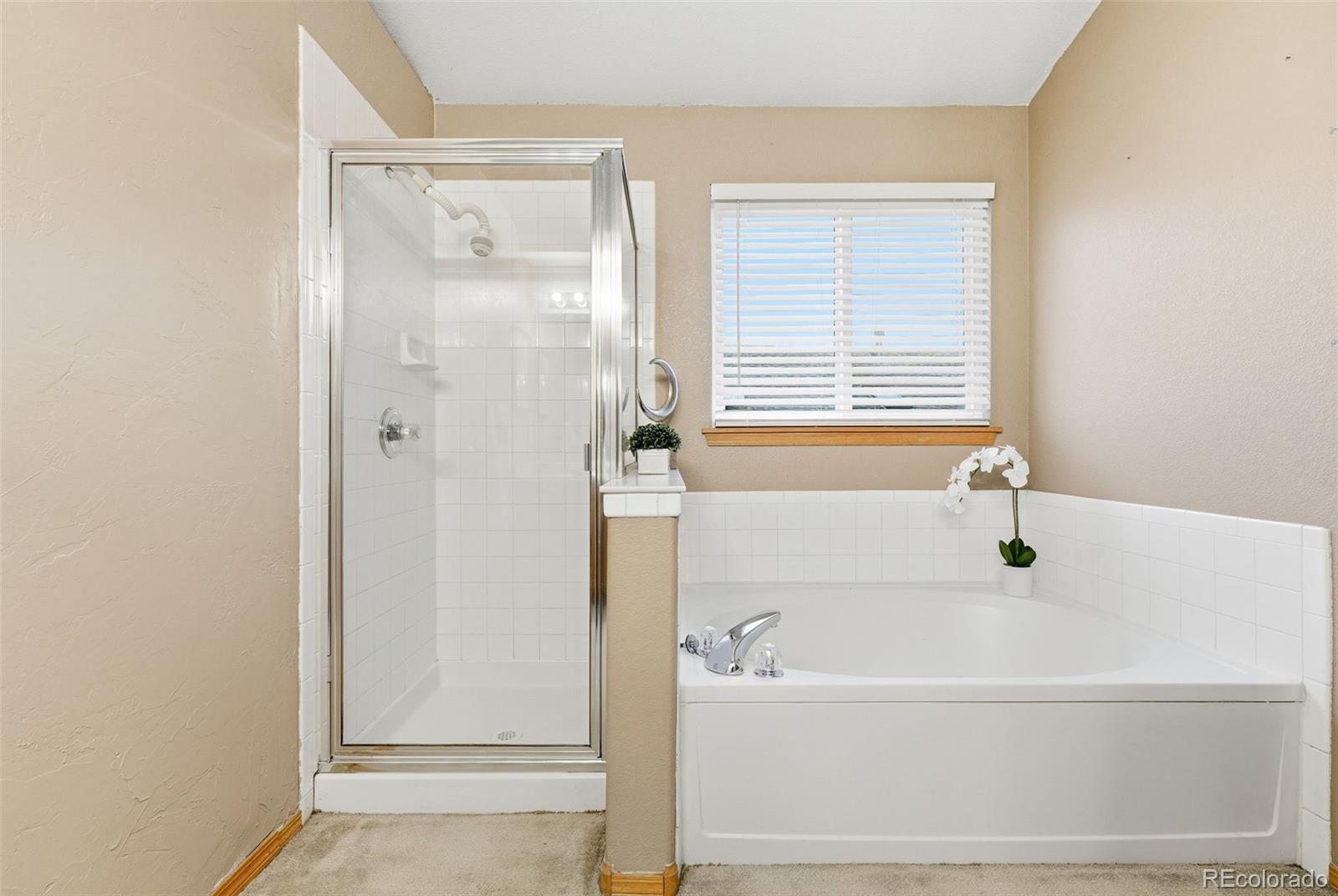 10378 Falcon Court Firestone, CO 80504 - Photo 30 of 50