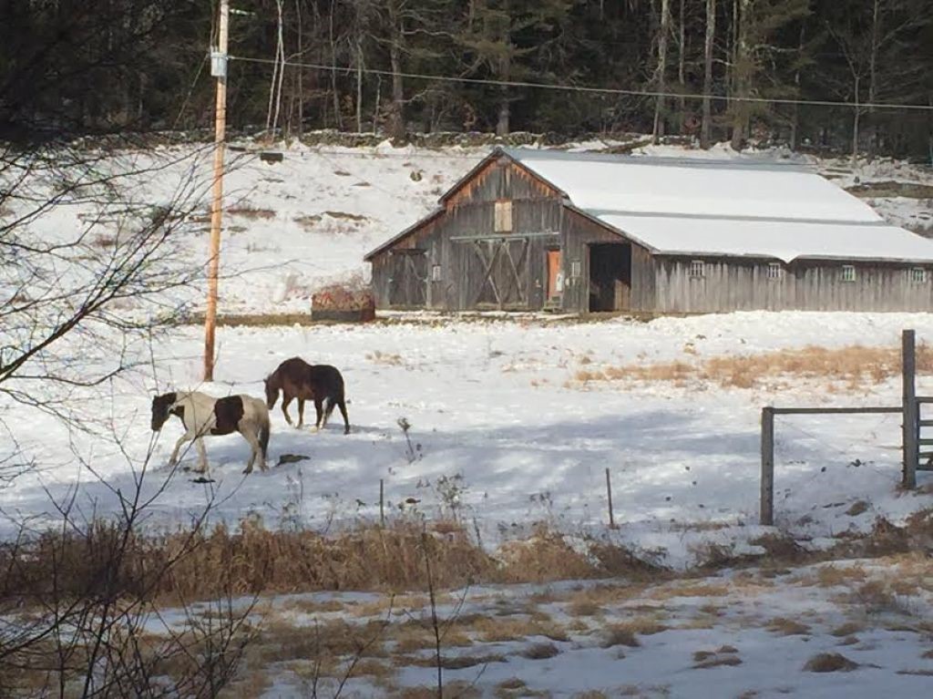 583 Chester Hill Road Grafton, VT 05146 - Photo 1 of 9 Gallery Image 1